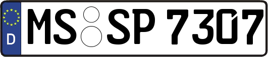 MS-SP7307