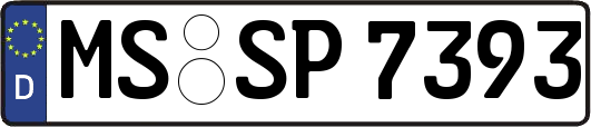 MS-SP7393