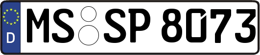 MS-SP8073