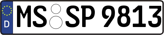 MS-SP9813