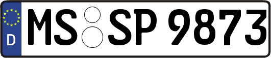 MS-SP9873