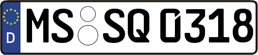 MS-SQ0318
