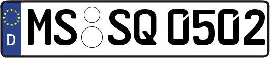 MS-SQ0502