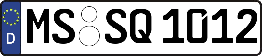 MS-SQ1012