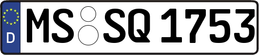 MS-SQ1753