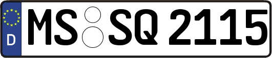 MS-SQ2115