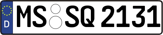 MS-SQ2131