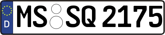 MS-SQ2175