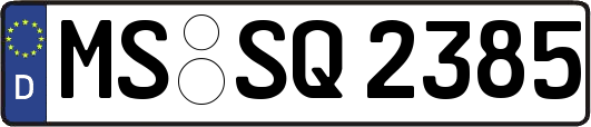 MS-SQ2385