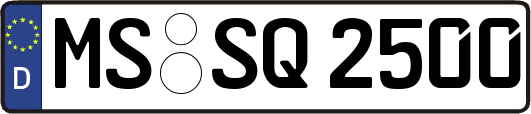 MS-SQ2500