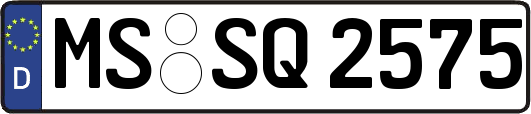 MS-SQ2575