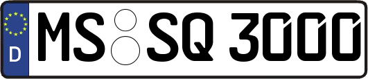 MS-SQ3000