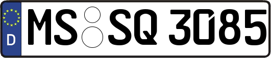 MS-SQ3085