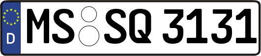 MS-SQ3131