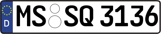 MS-SQ3136