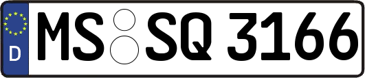 MS-SQ3166