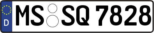 MS-SQ7828