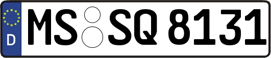 MS-SQ8131