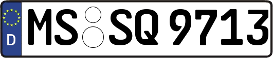 MS-SQ9713