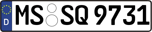 MS-SQ9731