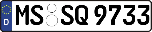 MS-SQ9733