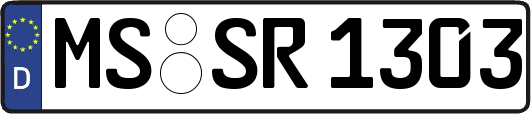 MS-SR1303