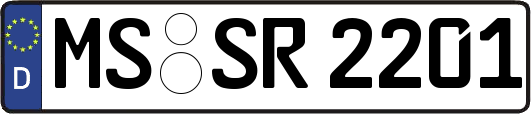 MS-SR2201