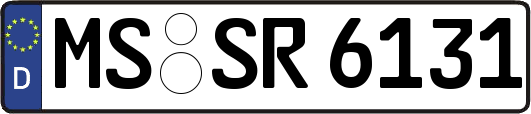 MS-SR6131