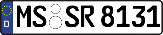 MS-SR8131