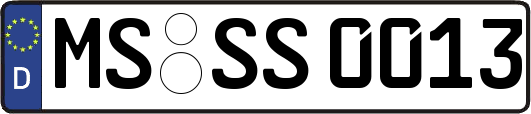 MS-SS0013