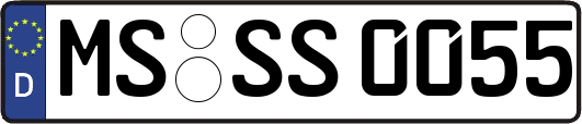 MS-SS0055