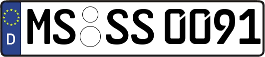 MS-SS0091