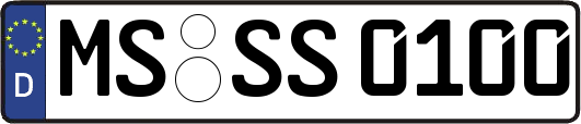 MS-SS0100