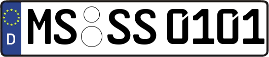 MS-SS0101