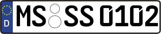 MS-SS0102