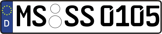 MS-SS0105