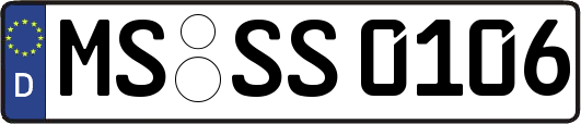 MS-SS0106