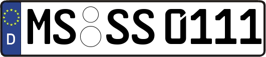 MS-SS0111