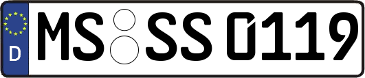 MS-SS0119