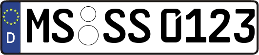 MS-SS0123