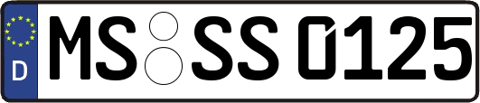 MS-SS0125