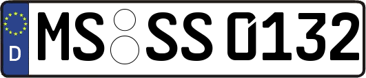 MS-SS0132