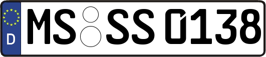 MS-SS0138