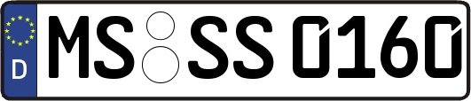 MS-SS0160