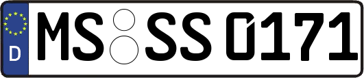 MS-SS0171