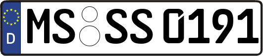 MS-SS0191