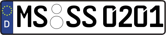 MS-SS0201