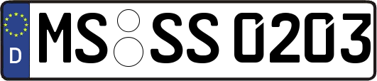 MS-SS0203