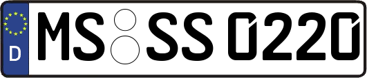 MS-SS0220
