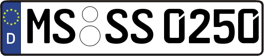 MS-SS0250